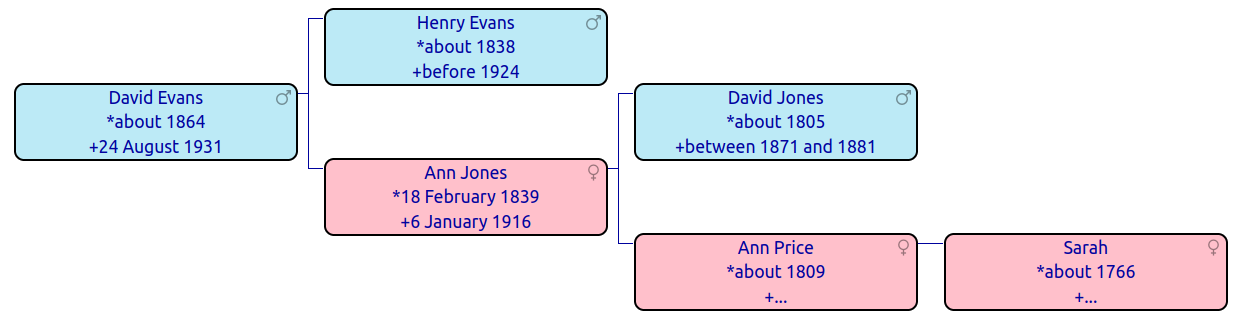 Pedigree chart for David Evans. His parents are Henry Evans and Ann Jones. Ann's parents are David Jones and Ann Price. Ann Price's mother is Sarah.
