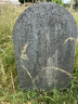 Grave - William and Jane Luscombe