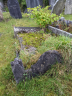 Grave - Henry and Jane Scott