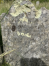 Grave - Peter Foss